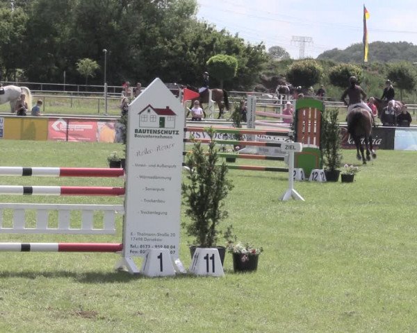 Reitturnier Dersekow 2022