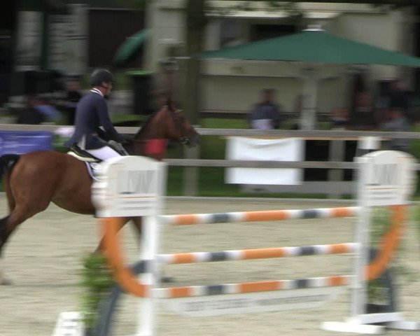 Reitturnier Barlo-Bocholt 2022