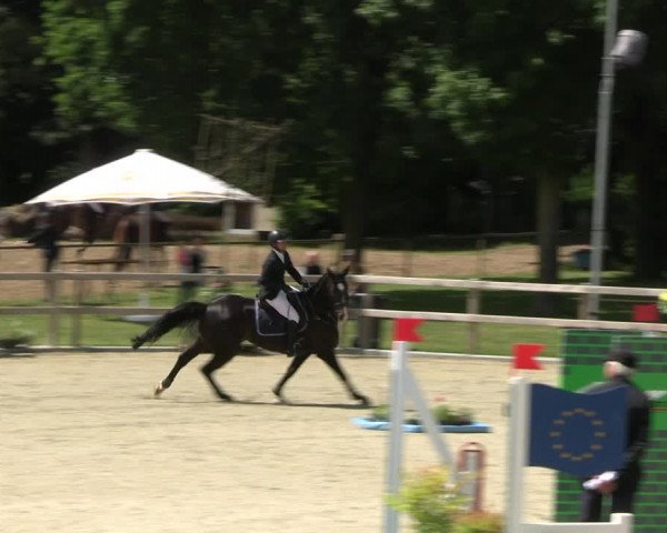 Reitturnier Barlo-Bocholt 2022