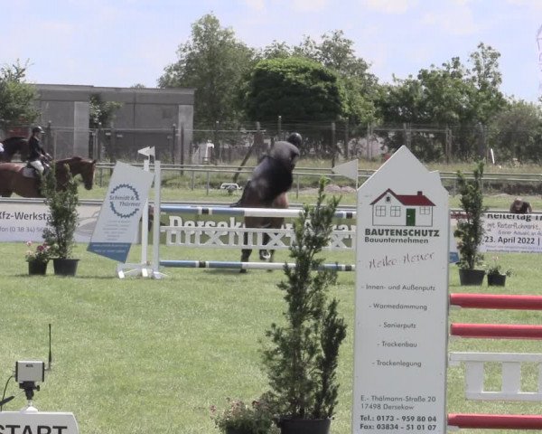 Reitturnier Dersekow 2022