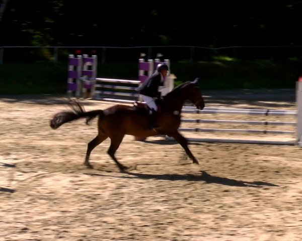 Reitturnier Viersen-Dülken 2022