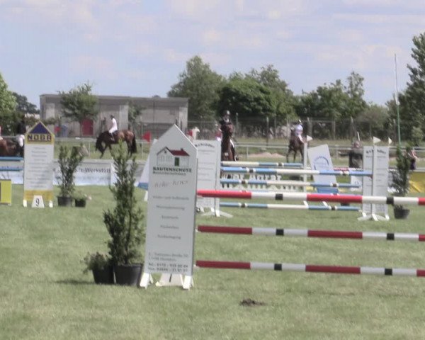 Reitturnier Dersekow 2022