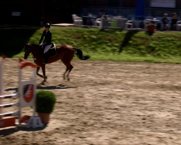 Reitturnier Viersen-Dülken 2022