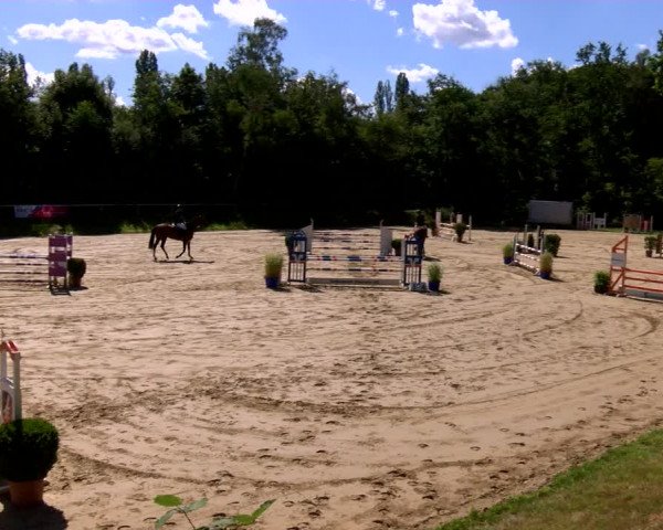 Reitturnier Viersen-Dülken 2022