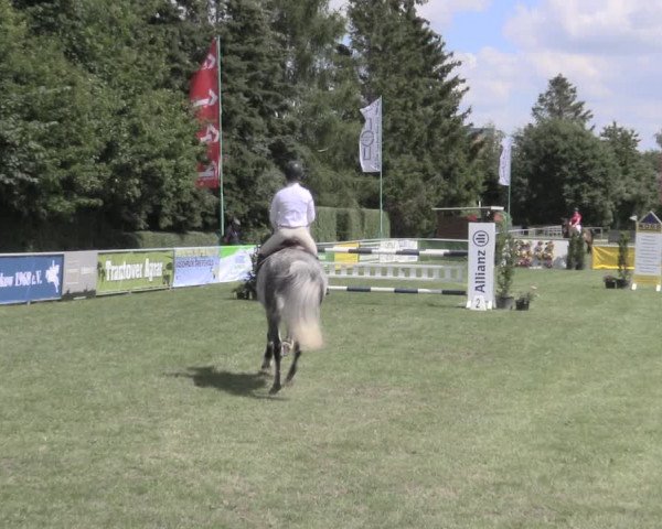 Reitturnier Dersekow 2022
