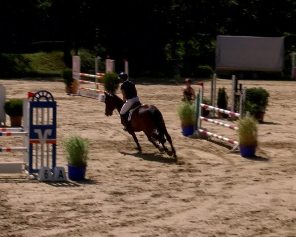 Reitturnier Viersen-Dülken 2022