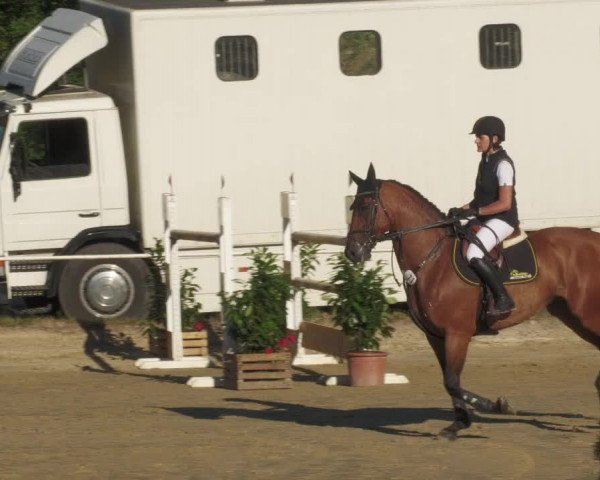 Reitturnier Heiligenwald 2022
