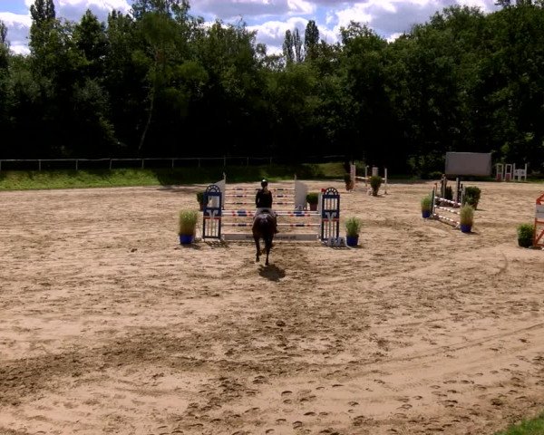 Reitturnier Viersen-Dülken 2022