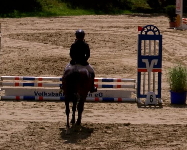 Reitturnier Viersen-Dülken 2022