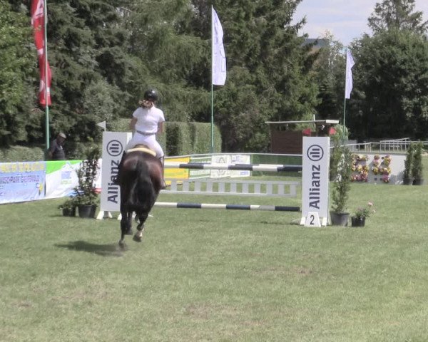 Reitturnier Dersekow 2022