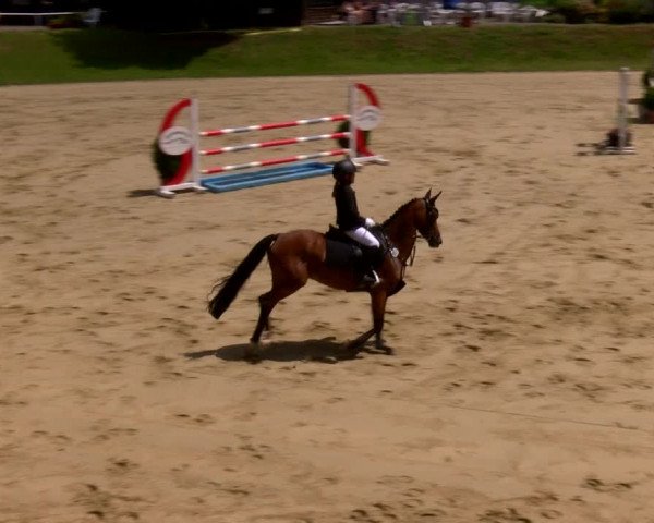 Reitturnier Viersen-Dülken 2022