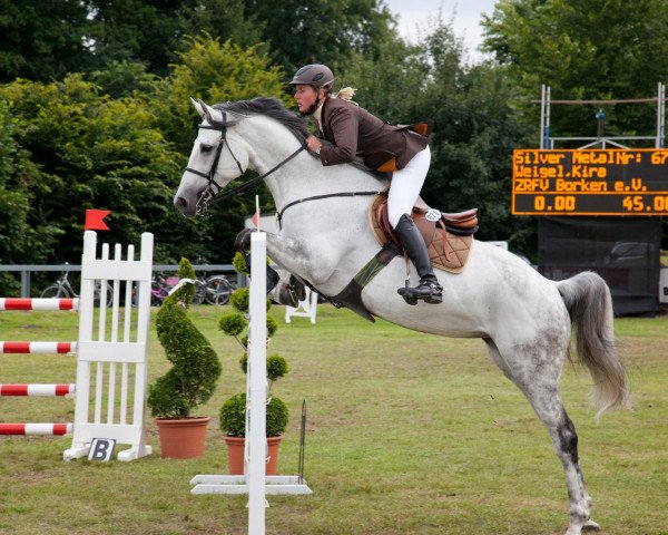 jumper Silver Metallica (Oldenburg, 2002, from Seidon)