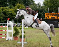 jumper Silver Metallica (Oldenburg, 2002, from Seidon)