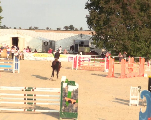 Springreitturnier Hohburg 2021
