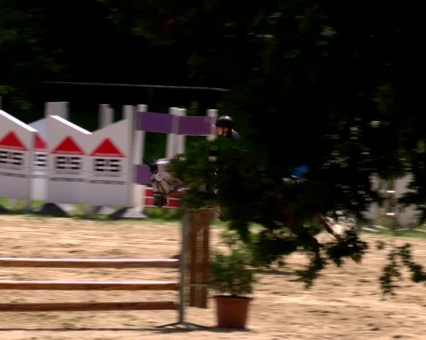 Reitturnier Viersen-Dülken 2022