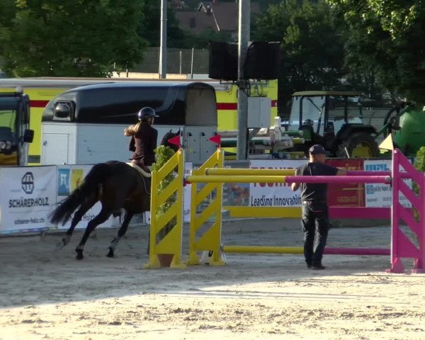 Reitturnier Balsthal 2022