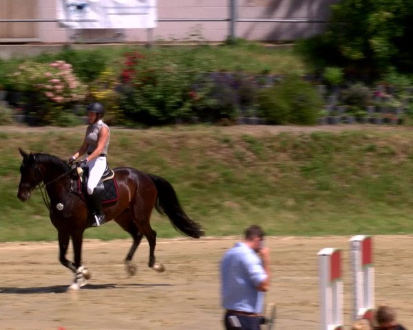 Reitturnier Viersen-Dülken 2022
