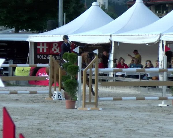 Reitturnier Balsthal 2022