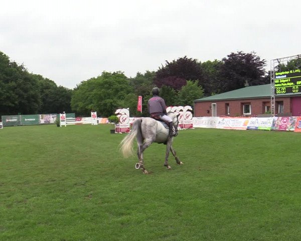 Reitturnier Wohlesbostel 2022