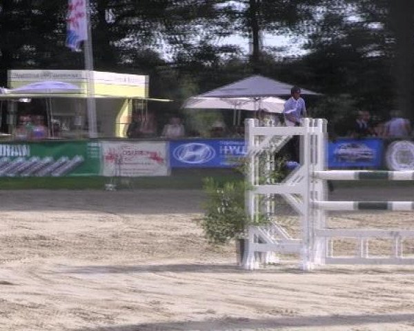 jumper Bueno (KWPN (Royal Dutch Sporthorse), 2006, from Colandro)