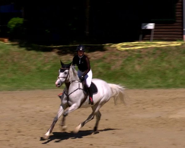 Reitturnier Viersen-Dülken 2022