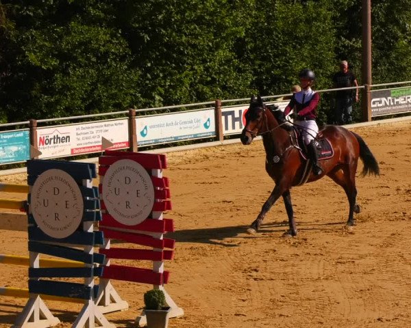 Reitturnier Uder, Reitanlage Kobold 2022