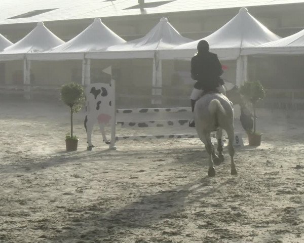 Reitturnier Balsthal 2022