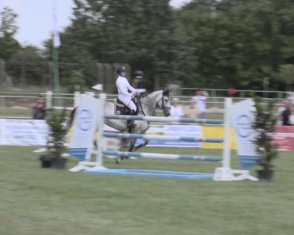 Reitturnier Dersekow 2022