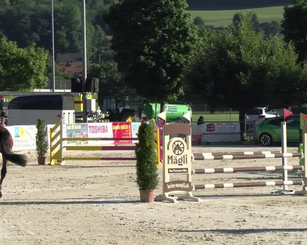 Reitturnier Balsthal 2022