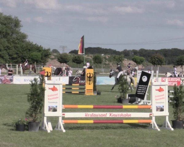 Reitturnier Dersekow 2022