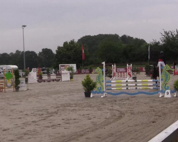 Reitturnier Melle-Ostenfelde 2022