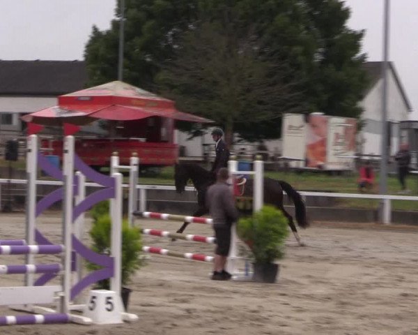 Reitturnier Melle-Ostenfelde 2022