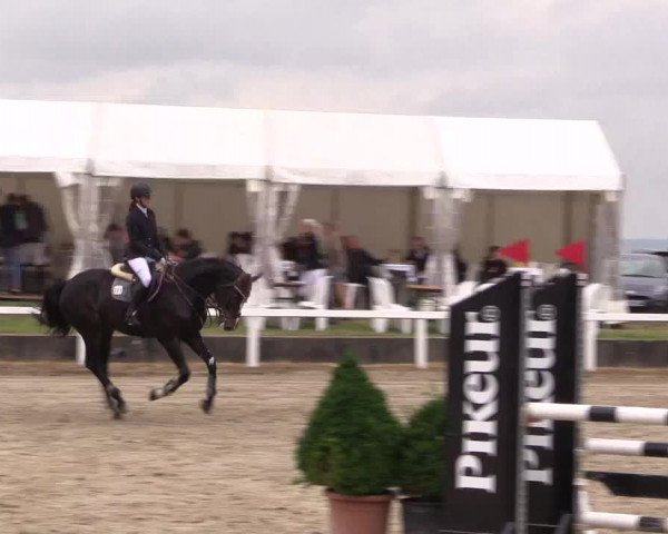 Reitturnier Melle-Ostenfelde 2022