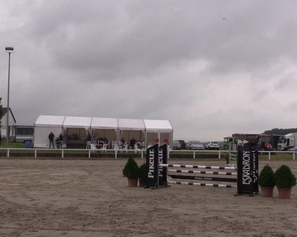 Reitturnier Melle-Ostenfelde 2022