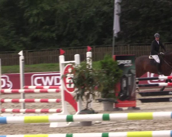 Reitturnier Melle-Ostenfelde 2022