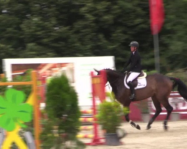 Reitturnier Melle-Ostenfelde 2022
