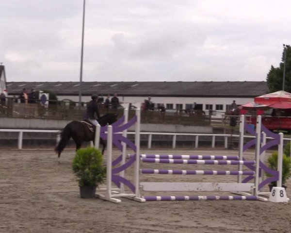 Reitturnier Melle-Ostenfelde 2022