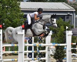 jumper Cristallino S (Zweibrücken, 2010, from Cristallo I)
