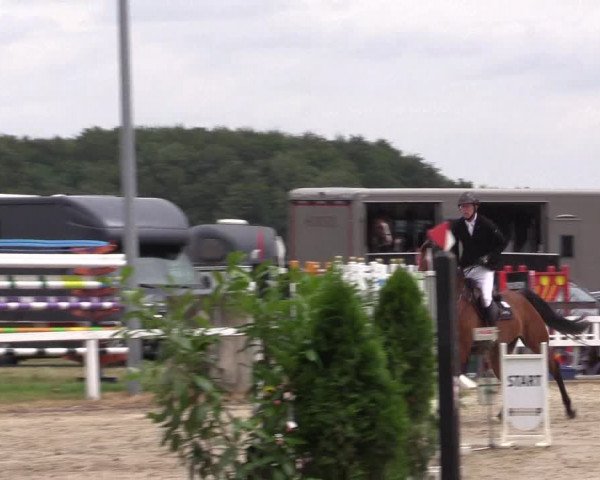 Reitturnier Melle-Ostenfelde 2022