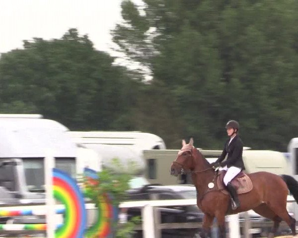 Reitturnier Melle-Ostenfelde 2022