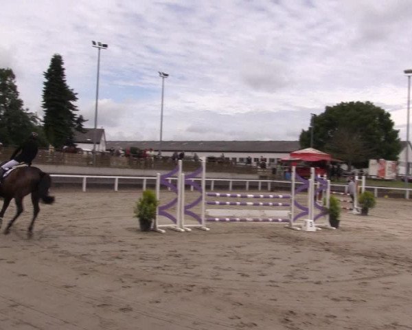 Reitturnier Melle-Ostenfelde 2022