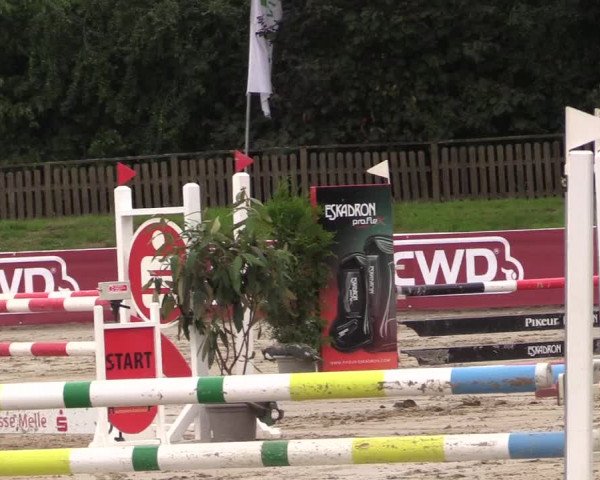Reitturnier Melle-Ostenfelde 2022