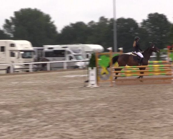 Reitturnier Melle-Ostenfelde 2022