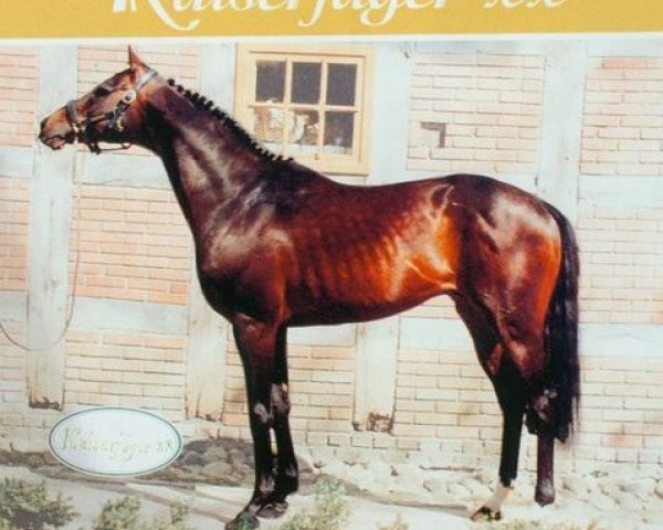stallion Kaiserjaeger xx (Thoroughbred, 1980, from Windwurf xx)