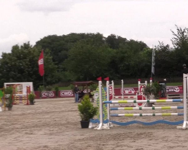 Reitturnier Melle-Ostenfelde 2022
