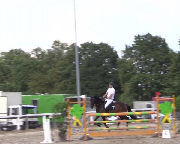 Reitturnier Melle-Ostenfelde 2022
