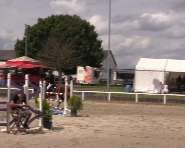 Reitturnier Melle-Ostenfelde 2022