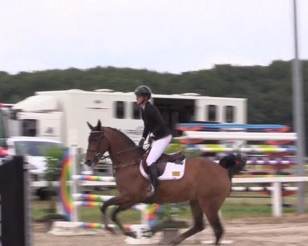 Reitturnier Melle-Ostenfelde 2022