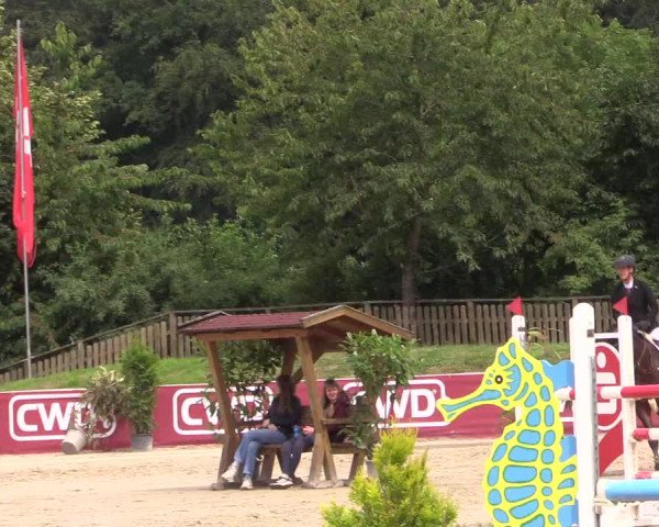 Reitturnier Melle-Ostenfelde 2022
