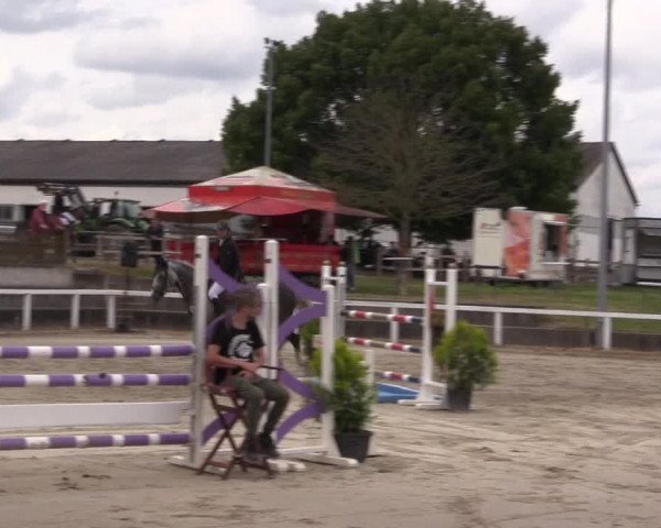 Reitturnier Melle-Ostenfelde 2022